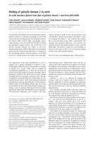 Tài liệu Báo cáo Y học: Binding of gelsolin domain 2 to actin An actin interface distinct from that of gelsolin domain 1 and from ADF/coﬁlin pptx