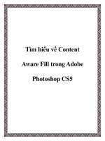 Tài liệu Tìm hiểu về Content Aware Fill trong Adobe Photoshop CS5 pot