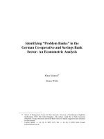 Tài liệu Identifying “Problem Banks” in the German Co-operative and Savings Bank Sector: An Econometric Analysis docx