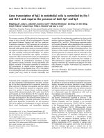 Tài liệu Báo cáo khoa học: Gene transcription of fgl2 in endothelial cells is controlled by Ets-1 and Oct-1 and requires the presence of both Sp1 and Sp3 pdf