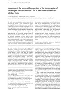Tài liệu Báo cáo Y học: Importance of the amino-acid composition of the shutter region of plasminogen activator inhibitor-1 for its transitions to latent and substrate forms pdf