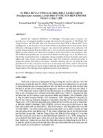 Tài liệu BÁO CÁO 