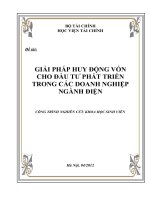 Huy động vốn cho phát triển các doanh nghiệp ngành điện