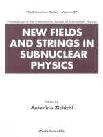 Tài liệu NEW FIELDS AND STRINGS IN SUBNUCLEAR PHYSICS ppt