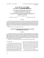 Tài liệu KẾT QUẢ CHỌN TẠO DÒNG BẤT DỤC ĐỰC NHÂN MẪN CẢM NHIỆT ĐỘ (TGMS) THƠM MỚI Ở LÚA docx