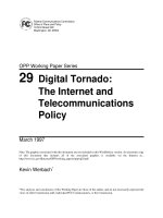 Tài liệu Digital Tornado: The Internet and Telecommunications Policy pdf