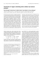 Tài liệu Báo cáo khóa học: Inactivation of copper-containing amine oxidases by turnover products doc