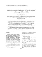 Tài liệu Báo cáo 