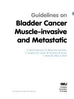Tài liệu Guidelines on Bladder Cancer Muscle-invasive and Metastatic docx