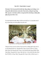 Tài liệu Năm 2013 – Doanh nhân kỳ vọng gì? ppt