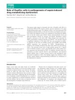 Tài liệu Báo cáo khoa học: Role of Kupffer cells in pathogenesis of sepsis-induced drug metabolizing dysfunction pptx