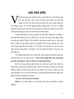 một số biện pháp thúc đẩy hoạt động tiêu thụ sản phẩm ở công ty nhựa cao cấp hàng không