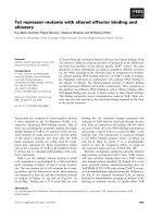 Tài liệu Báo cáo khoa học: Tet repressor mutants with altered effector binding and allostery docx