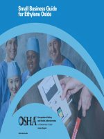 Tài liệu SMALL BUSINESS GUIDE FOR ETHYLENE OXIDE docx