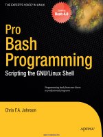 Tài liệu Pro Bash Programming: Scripting the GNU/Linux Shell doc