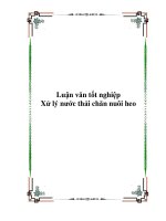 luận văn tốt nghiệp xử lý nước thải chăn nuôi heo