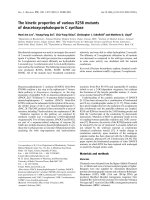 Tài liệu Báo cáo khoa học: The kinetic properties of various R258 mutants of deacetoxycephalosporin C synthase doc
