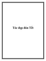 Tài liệu Tóc đẹp đón Tết. pptx