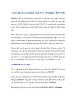 Tài liệu Tự động hóa các lệnh TELNET sử dụng VB Script doc