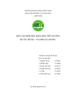 Tài liệu BÁO CÁO MÔN HỌC KHOA HỌC MÔI TRƯỜNG ĐỀ TÀI “RỪNG – VAI TRÒ CỦA RỪNG” ppt