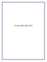 Tài liệu Những bài ca dao đề tài dâu rể ppt