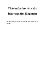 Tài liệu Chào mùa thu với chậu hoa voan tím lãng mạn pdf