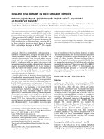 Tài liệu Báo cáo Y học: DNA and RNA damage by Cu(II)-amikacin complex docx