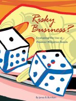 Tài liệu Risky Business? Evaluating the Use of Pension Obligation Bonds pdf
