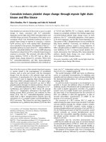 Tài liệu Báo cáo Y học: Convulxin induces platelet shape change through myosin light chain kinase and Rho kinase ppt