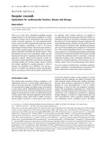 Tài liệu Báo cáo Y học: Receptor crosstalk Implications for cardiovascular function, disease and therapy ppt
