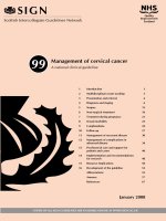 Tài liệu Management of cervical cancer pptx