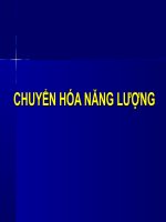 Tài liệu CHUYỂN HÓA NĂNG LƯỢNG pot