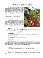 Tài liệu Kỹ thuật trồng Khoai lang Nhật pptx