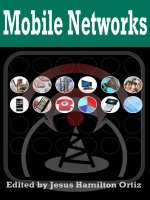 Tài liệu Mobile Networks doc