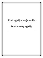 ky thuat luyen ca loc an cam cong nghiep