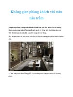 Tài liệu Không gian phòng khách với màu nâu trầm pdf