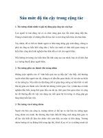 Tài liệu Sáu mức độ tin cậy trong cộng tác pdf