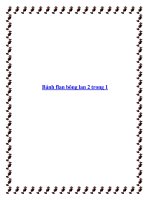 Tài liệu Bánh flan bông lan 2 trong 1 ppt