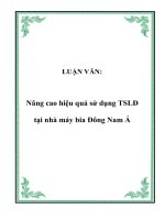 Nâng cao hiệu quả sử dụng TSLĐ tại nhà máy bia Đông Nam Á
