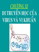 Di truyền học vi khuẩn và vi rút Hỗ trợ và Tải tài liệu miễn phí 24/7 tại đây: https://link1s.com/yHqvN