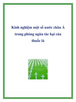 Tài liệu Kinh nghiệm một số nước châu Á trong phòng ngừa tác hại của thuốc lá docx