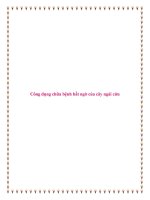 Tài liệu Công dụng chữa bệnh bất ngờ của cây ngải cứu. pdf