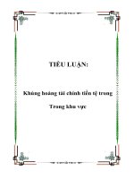 Khủng hoảng tài chính tiền tệ trong Trong khu vực