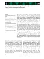 Tài liệu Báo cáo khoa học: The occurrence of hemocyanin in Hexapoda docx