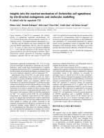 Tài liệu Báo cáo Y học: Insights into the reaction mechanism of Escherichia coli agmatinase by site-directed mutagenesis and molecular modelling ppt