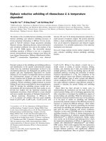 Tài liệu Báo cáo Y học: Biphasic reductive unfolding of ribonuclease A is temperature dependent pdf