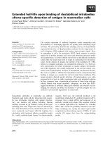Tài liệu Báo cáo khoa học: Extended half-life upon binding of destabilized intrabodies allows speciﬁc detection of antigen in mammalian cells pdf