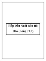 Tài liệu Hấp Dẫn Nuôi Rắn Hổ Hèo (Long Thừ) ppt