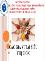 Gia vi sieu thi big c n7 THU 6 TIET 789