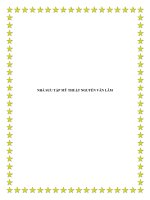 Tài liệu NHÀ SƯU TẬP MỸ THUẬT NGUYỄN VĂN LÂM ppt